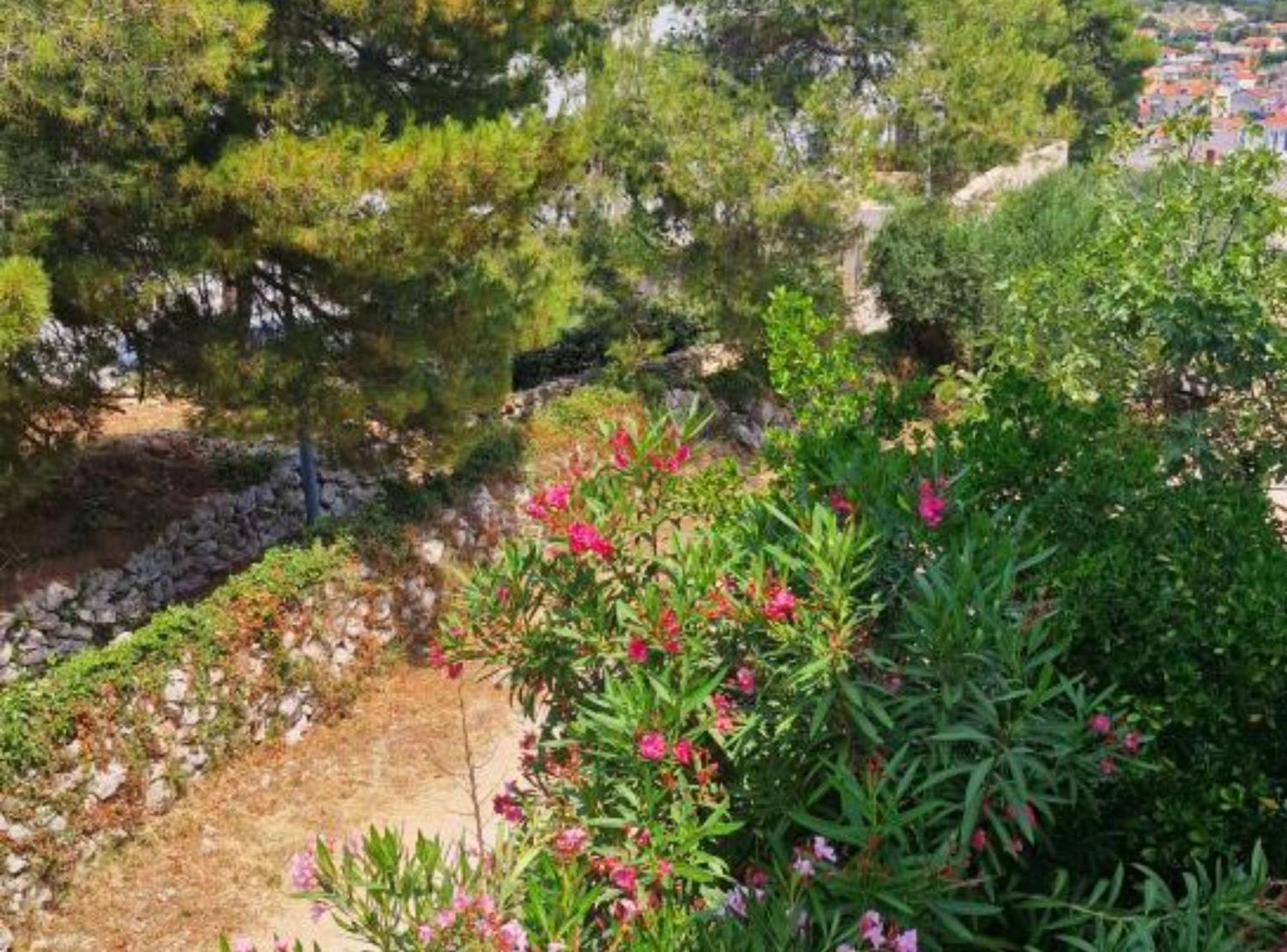 Pansion Belvedere Mali Losinj Exterior photo